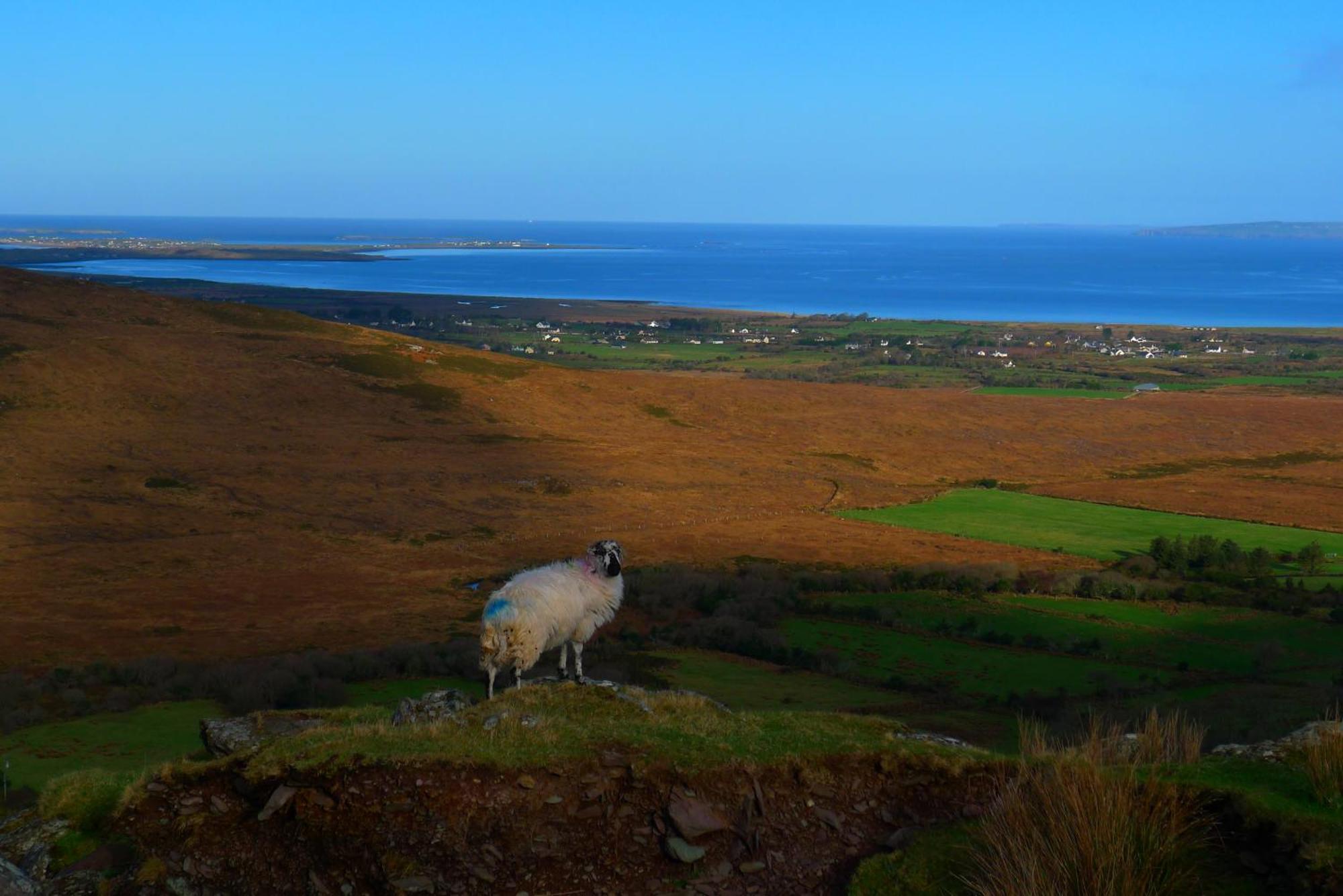 Keanes Of Curraheen, Bar, Restaurant & Accommodation Tralee Dış mekan fotoğraf
